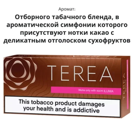 Terea Bronze (Казахстан)